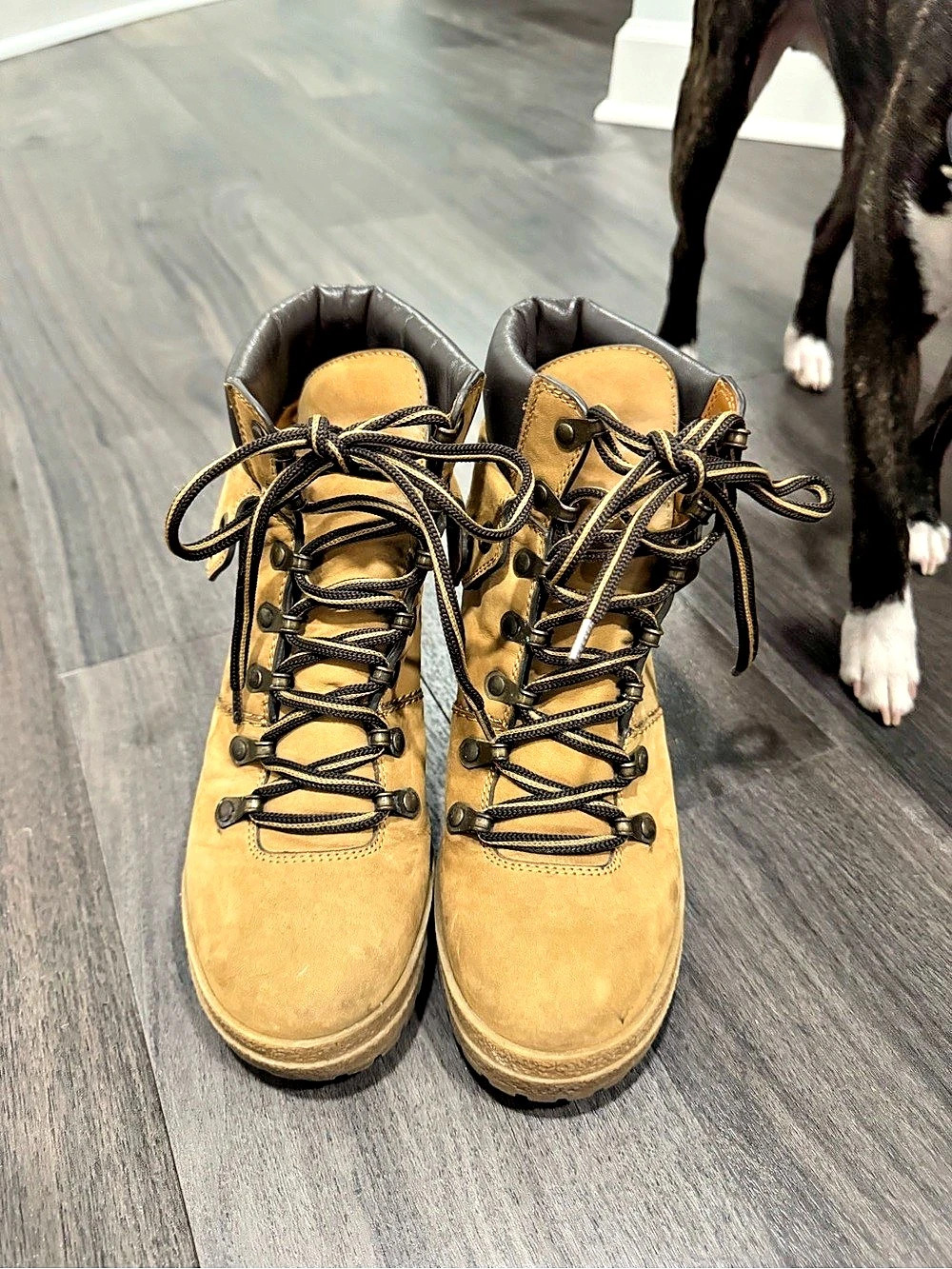 See by Chloé Eileen Hiking Boots Brown